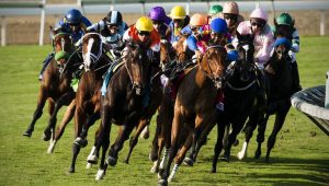 Betting on Horse Racing