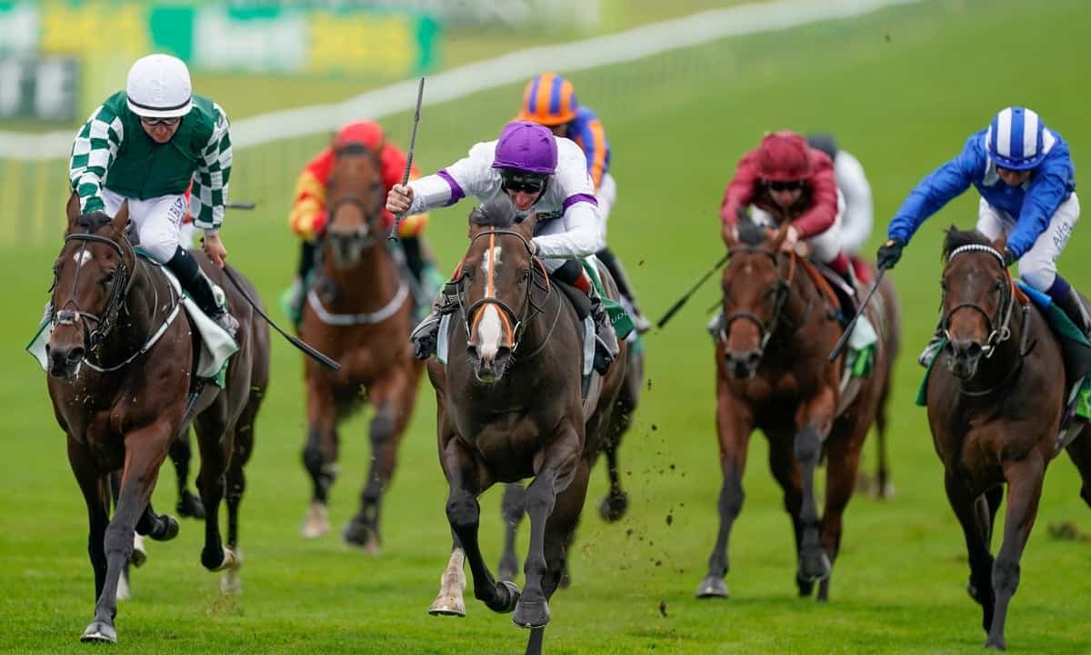 3 Horse Betting Tips